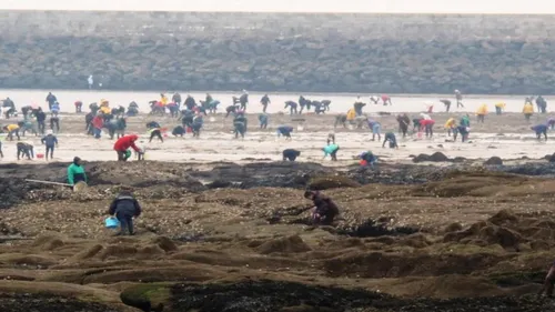 Semaine de grandes marées en Bretagne
